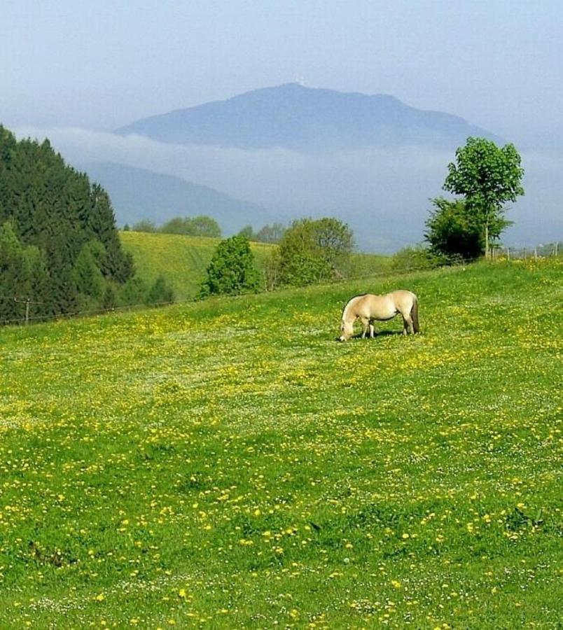 Villa Urlaub Auf Dem Haberlhof Lohberg Esterno foto